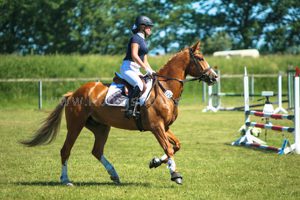 TurHa2016_mini