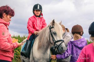 rrsep2016_mini
